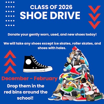  shoe drie